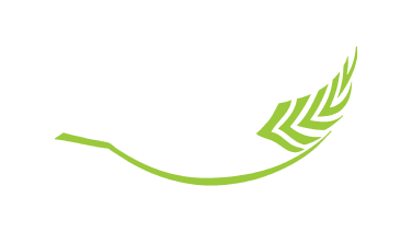 SSK